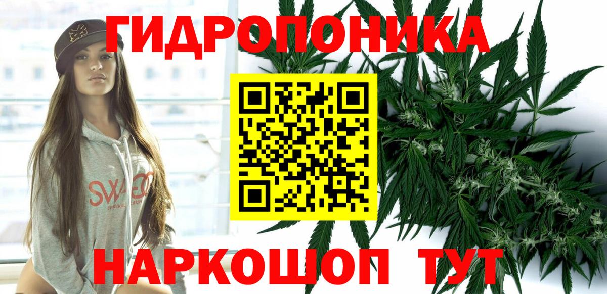 Марихуана планчик  Бошки Шишки тримм  Бошки марихуана семена  Вход с VPN  Кисловодск 